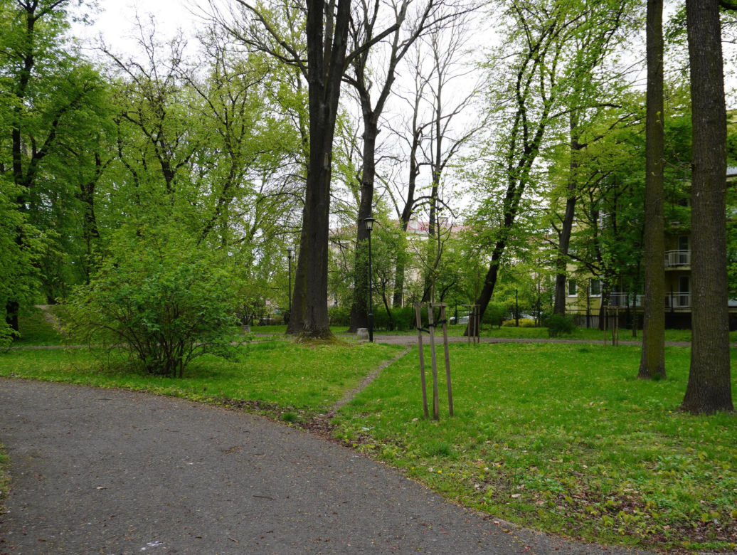 Park Bronowice wiosną 2024