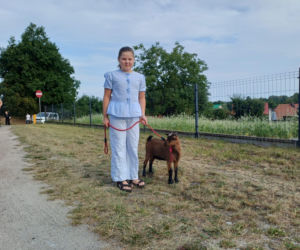 Święcenie zwierząt u św. Rocha 2026