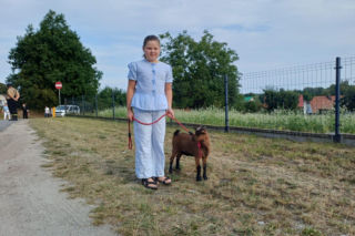 Święcenie zwierząt u św. Rocha 2026
