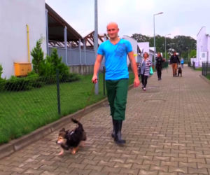 Więźniowie zajmują się zwierzętami w schronisku