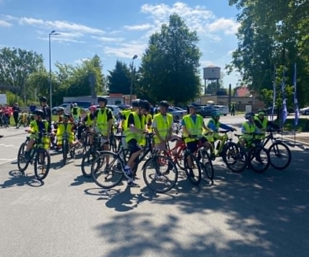 Powstanie 125 kilometrów ścieżek rowerowych od Kraśnika do Roztocza. W mieście planowana jest wycinka