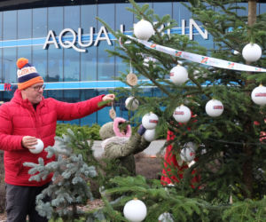 Eskowa choinka stanęła przez Aqua Lublin!