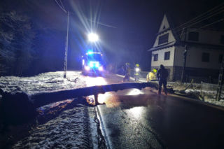 Podhale zasypane śniegiem. Drzewo zerwało linię energetyczną, krokusy zniknęły pod białym puchem