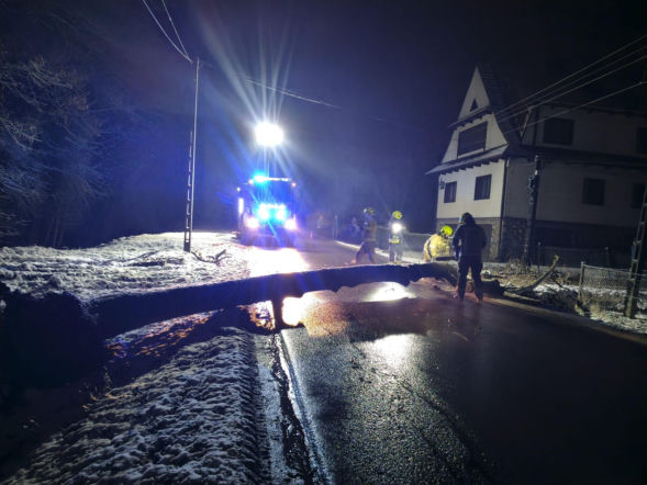 Podhale zasypane śniegiem. Drzewo zerwało linię energetyczną, krokusy zniknęły pod białym puchem