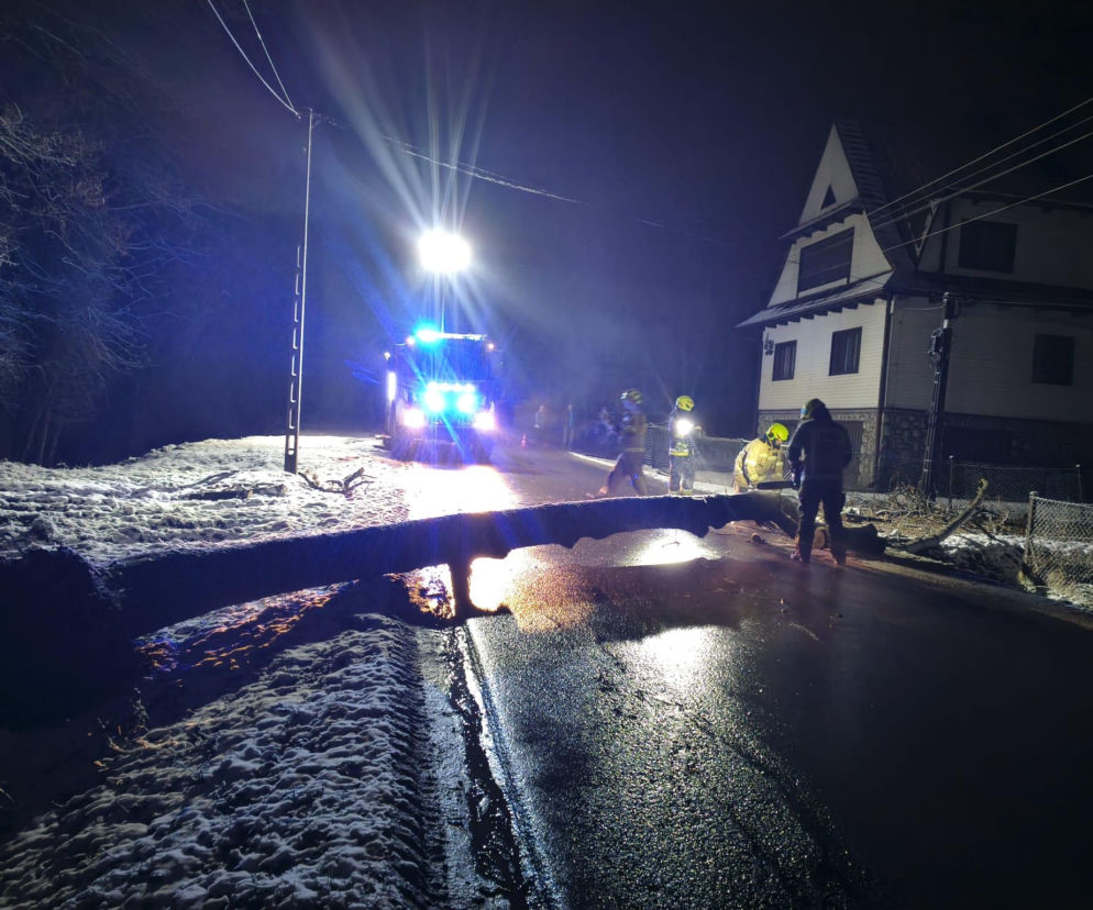 Podhale zasypane! Śnieg przewrócił drzewo i zerwał linię energetyczną