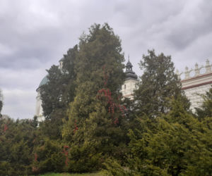 Jesienny spacer po parku zamkowym w Krasiczynie
