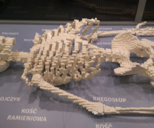 Wystawa klocków Lego we Wrocławiu