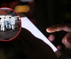 Dlaczego ludzie chcą oglądać rzeź w Kadłubie? Internauci odpowiadają 