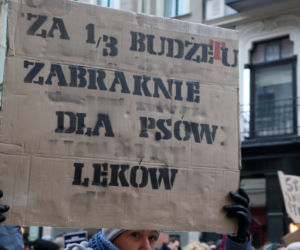 Oni mówią głosem zwierząt! Tak wygladał marsz w obronie zwierząt z Toruńskiego Schroniska [GALERIA, AUDIO]