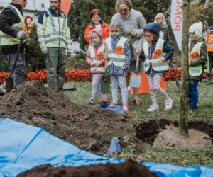 Oby rósł 100 lat! Dąb czerwony na jubileusz 100-lecia PCK