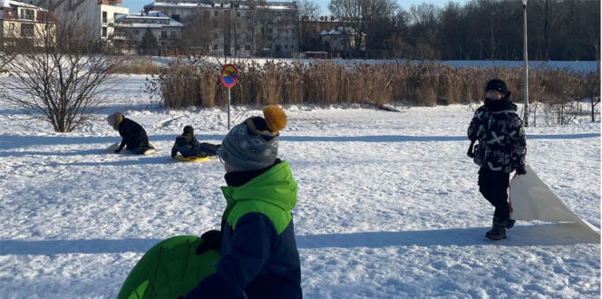 MultiBezpieczeństwo