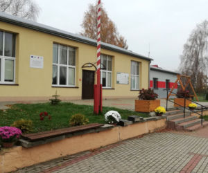 Wyjątkowo kolorowa jesień w Gminie Iława. Wszędzie chryzantemny!
