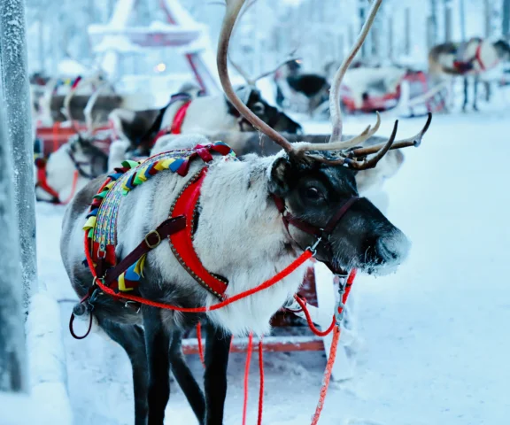 Bezpośrednie loty z Warszawy do św. Mikołaja! Jest nowe połączenie
