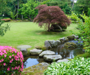 ogrod-japonski