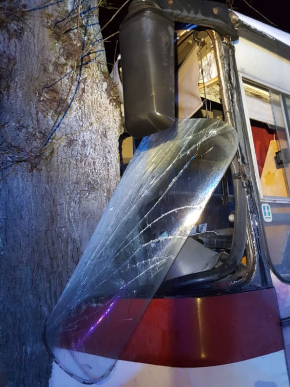 Autobus z dziećmi uderzył w drzewo! Są ranni. Dramat w Trzebiechowie [GALERIA]