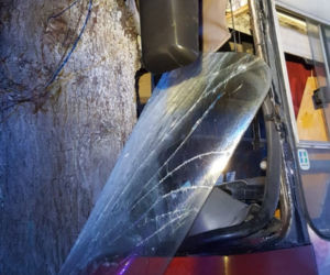 Autobus z dziećmi uderzył w drzewo! Są ranni. Dramat w Trzebiechowie [GALERIA]