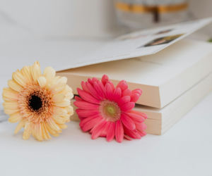 Rośliny i książki do wymiany w Centrum Przyrodniczym