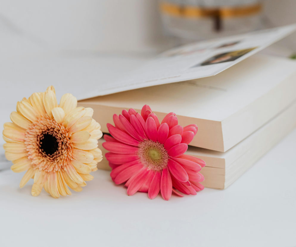 Rośliny i książki do wymiany w Centrum Przyrodniczym