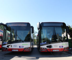 Autobusy elektryczne w Sosnowcu
