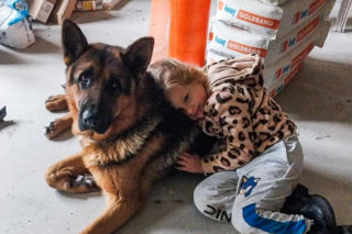 Zabrali dzieciom psa. Urzędnicy przyznali później: nie było podstaw!