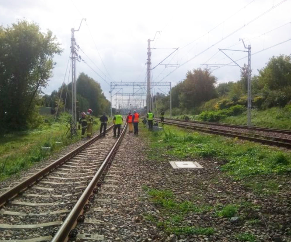 Policjanci i strażacy pracujący na miejscu tragedii