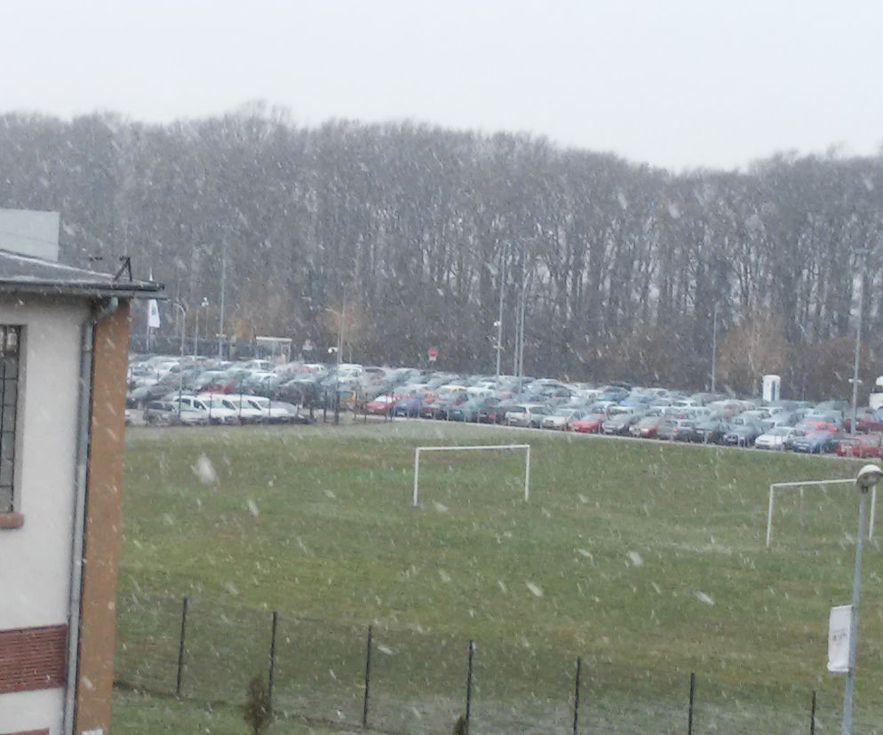 Mamy już zimę!