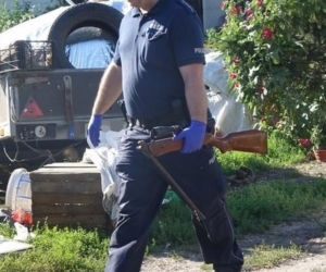 Martwe i wygłodzone zwierzęta pod Sannikami! Do tego broń z ostrą amunicją! Co tam się działo?!