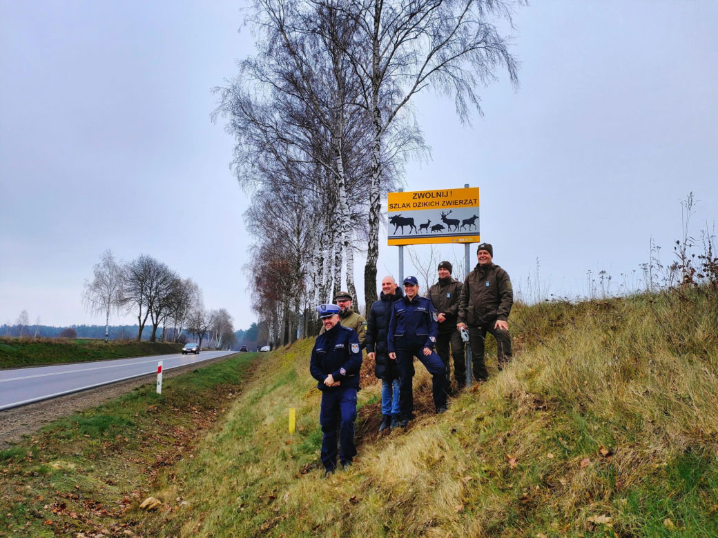 Na DK64 pod Łomżą stanęły znaki ostrzegające o dzikich zwierzętach