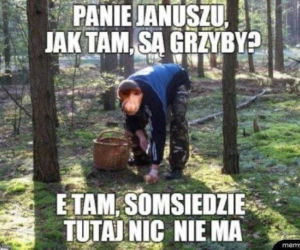 Trwa sezon na grzyby! Oto najlepsze memy o grzybiarzach!