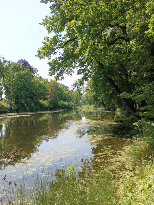 Parki podworskie w powiecie gdańskim