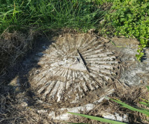 Na ratunek zabytkowi. Przykryją dachem ruiny kościoła w Wyszanowie