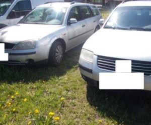 Samochody parkujące na trawnikach w Warszawie [ZDJĘCIA]