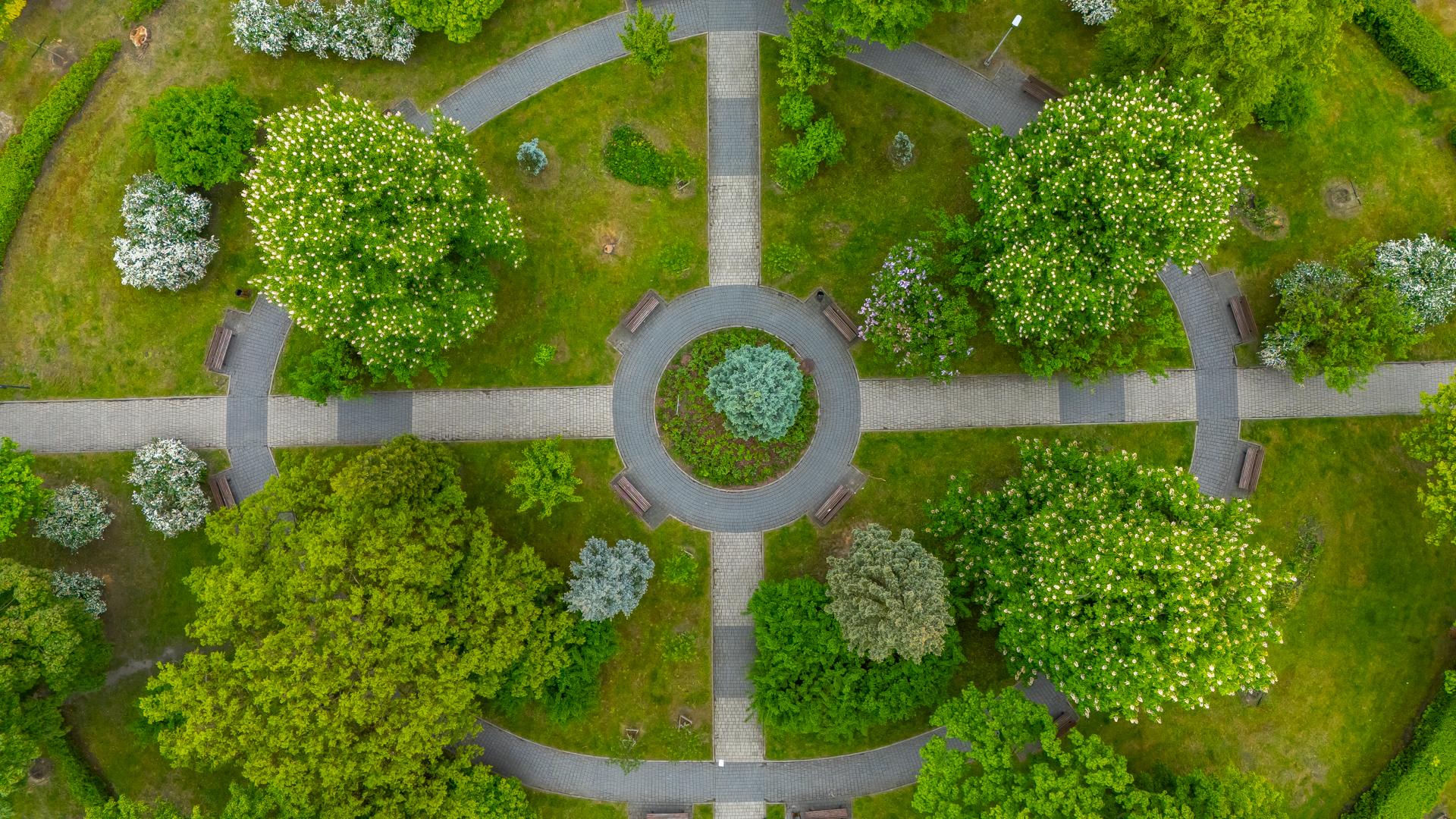Wilcze Gardło w Gliwicach