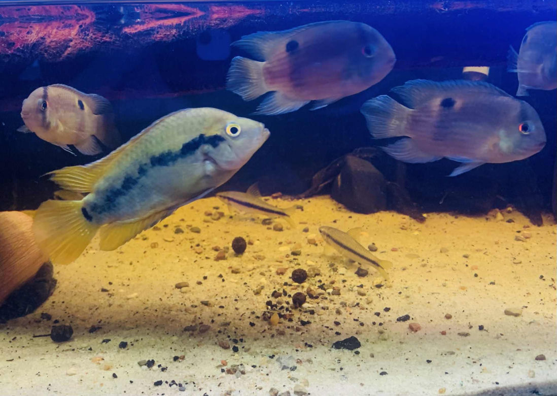 Rozmawiamy z Tomaszem Wiśniewskim, założycielem Aqua Dreams Bydgoszcz