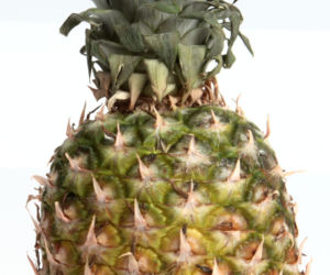 ananas