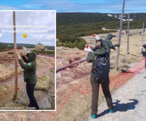 Karkonosze za siatką. Park narodowy reaguje na zachowanie turystów