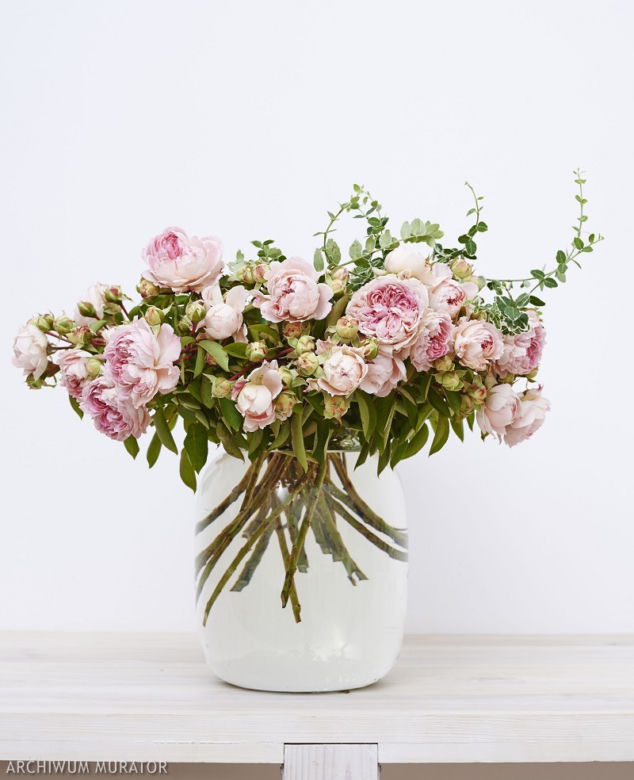 peonie kwiaty na Dzień Matki