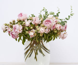 peonie kwiaty na Dzień Matki