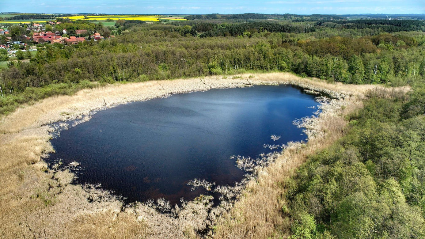 Jezioro Czarne w Lubuskiem, w gminie Świebodzin