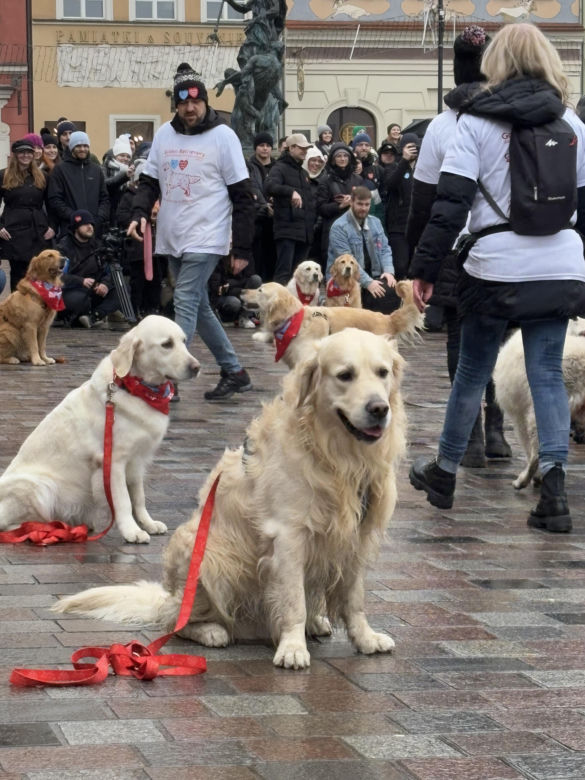Wolontariusze WOŚP Poznań