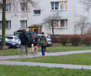 Ktoś otruł mojego psa!