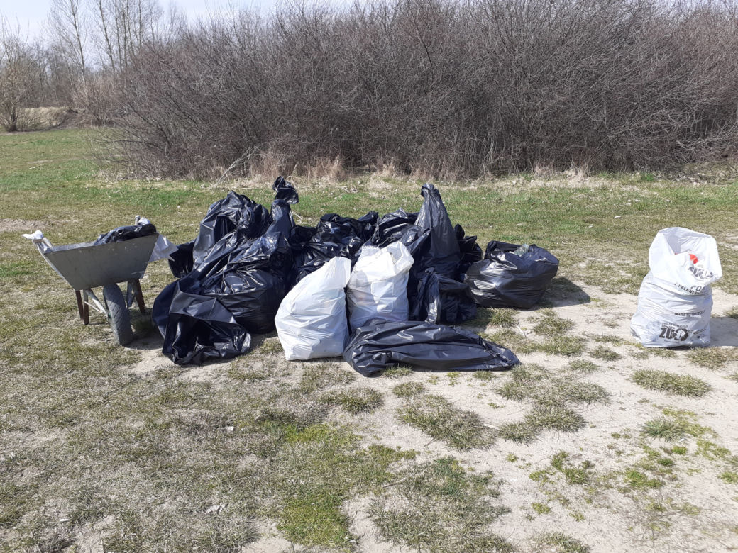 Pierwsza akcja sprzątania brzegów rzeki Muchawki i siedleckiego zalewu w ramach Operacji Czysta Rzeka 2021