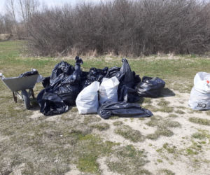 Pierwsza akcja sprzątania brzegów rzeki Muchawki i siedleckiego zalewu w ramach Operacji Czysta Rzeka 2021