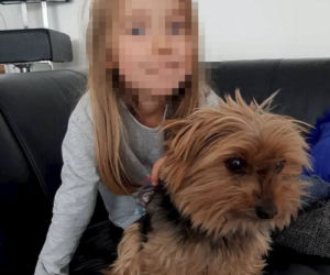 Tak mieszka Borys Budka