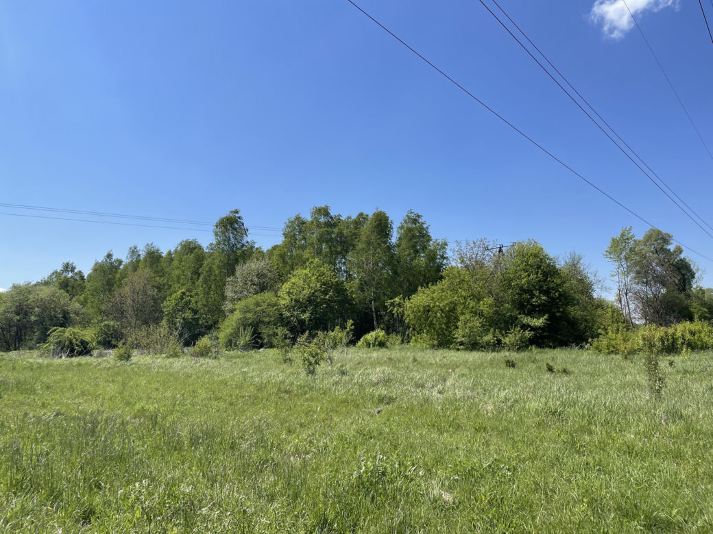 Najdłuższy park w Polsce jest w Krakowie. Ledwo widać go na mapach, a jest pełen atrakcji