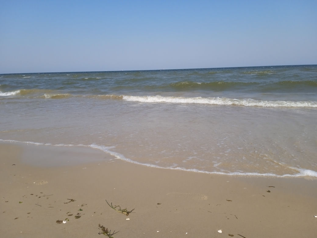 Mieszkańcy korzystają ze słonecznej pogody. Na plaży w Jelitkowie widać już pierwszych spacerowiczów!