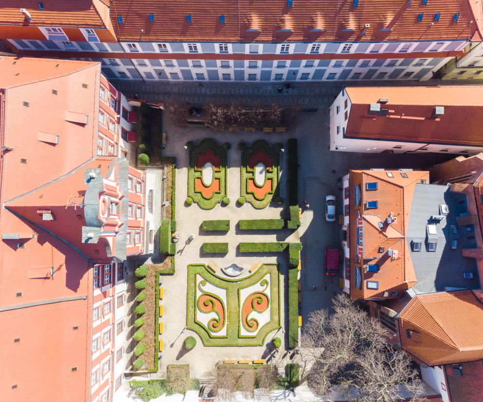 Ogród przy Ossolineum. Zielona atrakcja w centrum Wrocławia