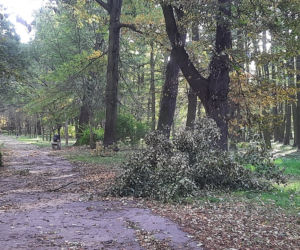 Skutki wichury we Wrocławiu