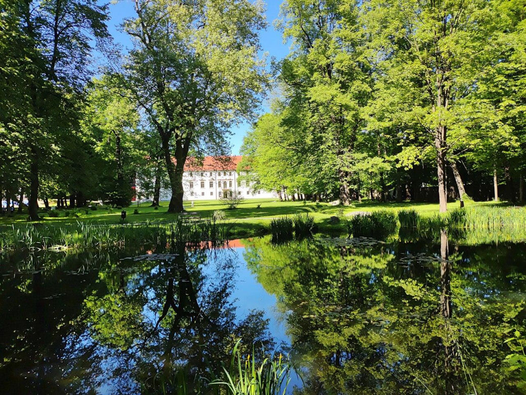 Widok na Zamek Suski z parku