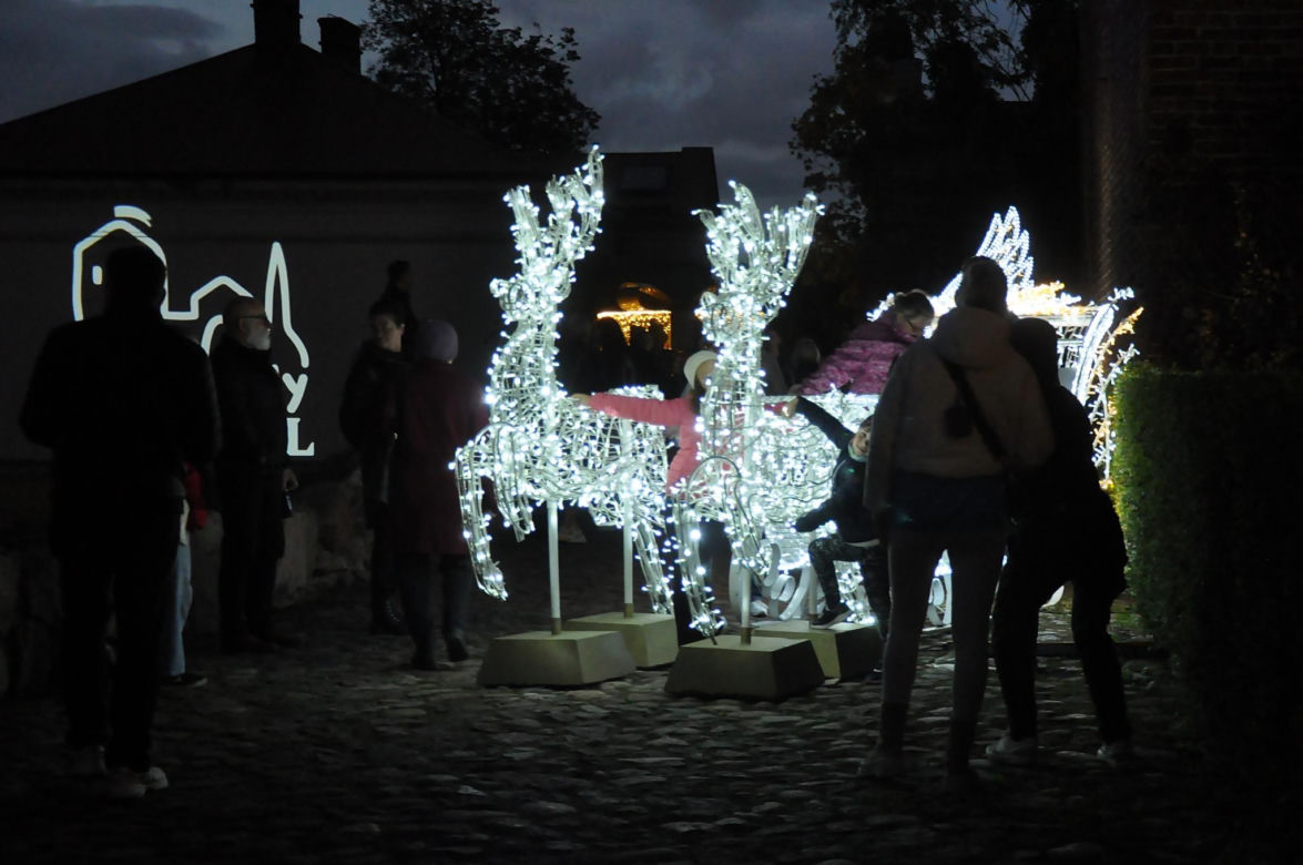 Magiczne iluminacje rozświetliły gotyckie zamczysko. Można poczuć się tu jak w bajce Disneya! [ZDJĘCIA]